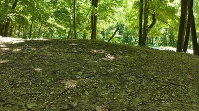 949 Lansing Harpers Road, Harpers Ferry, IA 52146 is a fantastic - photo 6