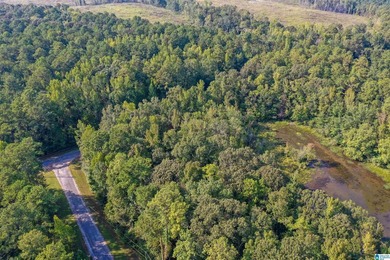 Waterfront lot in Water's Edge that won't break the bank! Enjoy - photo 11