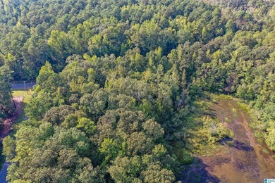 Waterfront lot in Water's Edge that won't break the bank! Enjoy - photo 12