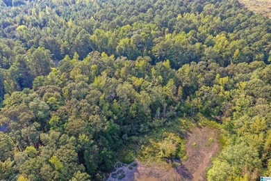 Waterfront lot in Water's Edge that won't break the bank! Enjoy - photo 13