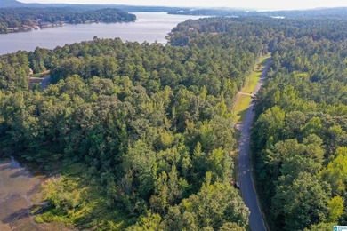 Waterfront lot in Water's Edge that won't break the bank! Enjoy - photo 14
