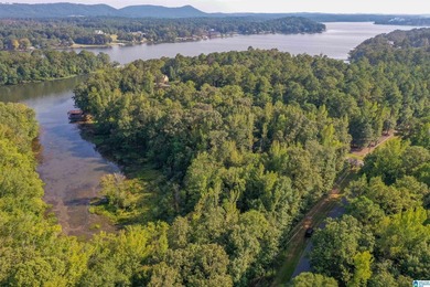 Waterfront lot in Water's Edge that won't break the bank! Enjoy - photo 15