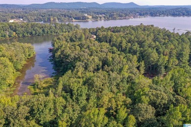 Waterfront lot in Water's Edge that won't break the bank! Enjoy - photo 16