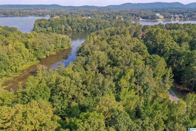 Waterfront lot in Water's Edge that won't break the bank! Enjoy - photo 17