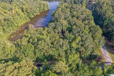 Waterfront lot in Water's Edge that won't break the bank! Enjoy - photo 18