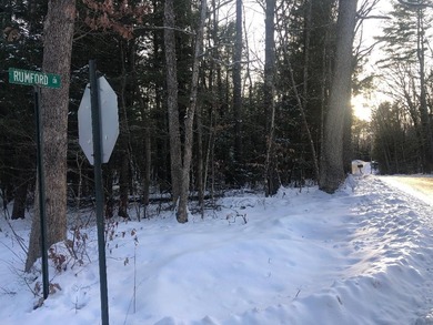 Pillsbury Pond Lot For Sale in Webster New Hampshire