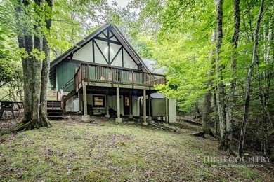 Very nice classic A-frame home (Volkshaus C model) with addition - photo 1