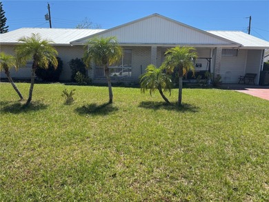 Mirror Lake Home For Sale in Sun City Center Florida