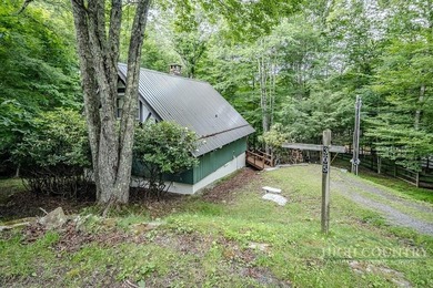 Very nice classic A-frame home (Volkshaus C model) with addition - photo 2