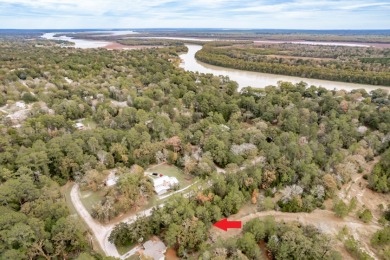 Lot 203 Youpon Drive at Pinecrest Estates SOLD - Lake Lot SOLD! in Trinity, Texas