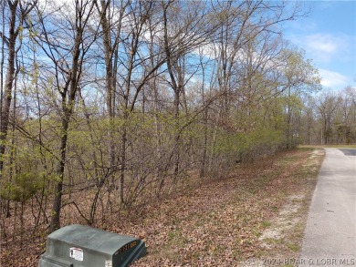 Lake Lot For Sale in Villages, Missouri