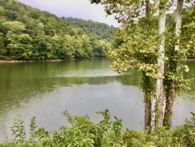 Lake Acreage Sale Pending in New Tazewell, Tennessee
