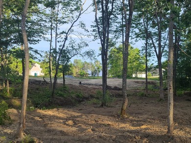 Build your dream home on this open and level lot in beautiful - photo 8