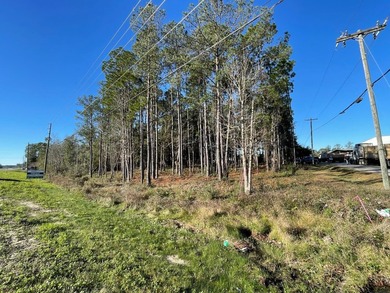 Well positioned retail outparcel along Highway 331 South in - photo 3