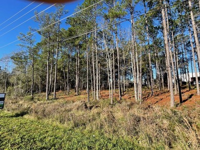 Well positioned retail outparcel along Highway 331 South in - photo 4