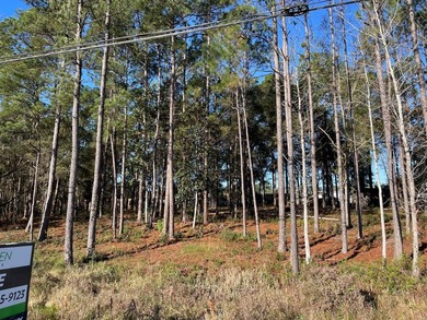 Well positioned retail outparcel along Highway 331 South in - photo 5