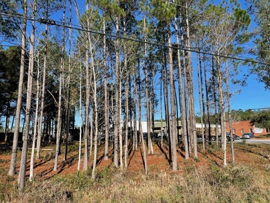 Well positioned retail outparcel along Highway 331 South in - photo 6