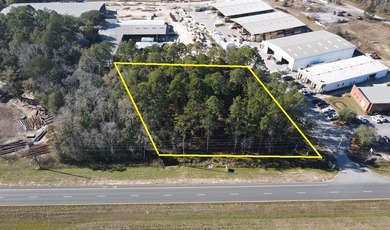 Well positioned retail outparcel along Highway 331 South in - photo 8