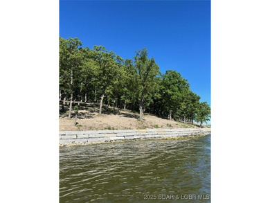 **Exquisite Lakefront Lot at Lake of the Ozarks - A - photo 15