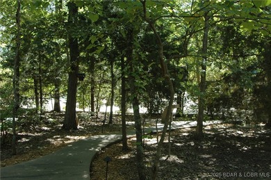 **Exquisite Lakefront Lot at Lake of the Ozarks - A - photo 25