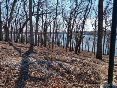 **Exquisite Lakefront Lot at Lake of the Ozarks - A - photo 30