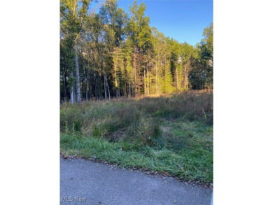 Lake Milton Lot For Sale in Lake Milton Ohio