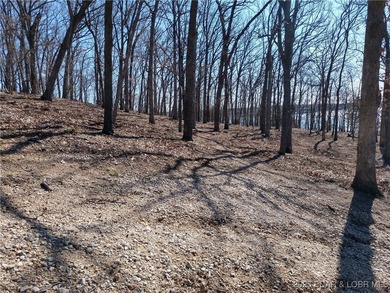 **Exquisite Lakefront Lot at Lake of the Ozarks - A - photo 32