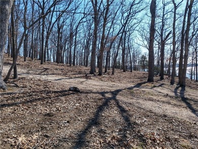 **Exquisite Lakefront Lot at Lake of the Ozarks - A - photo 33