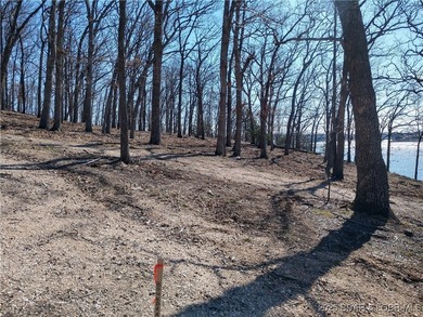 **Exquisite Lakefront Lot at Lake of the Ozarks - A - photo 34