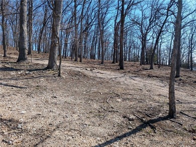 **Exquisite Lakefront Lot at Lake of the Ozarks - A - photo 35