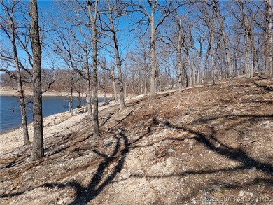 **Exquisite Lakefront Lot at Lake of the Ozarks - A - photo 37