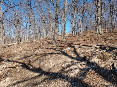 **Exquisite Lakefront Lot at Lake of the Ozarks - A - photo 39