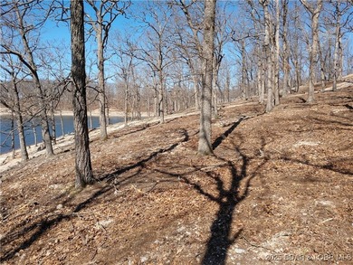 **Exquisite Lakefront Lot at Lake of the Ozarks - A - photo 40