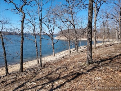 **Exquisite Lakefront Lot at Lake of the Ozarks - A - photo 41