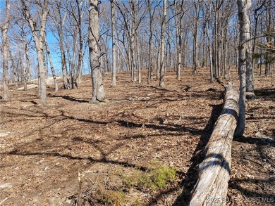 **Exquisite Lakefront Lot at Lake of the Ozarks - A - photo 42