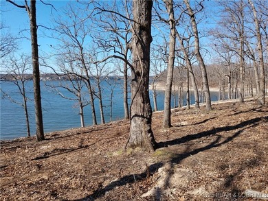 **Exquisite Lakefront Lot at Lake of the Ozarks - A - photo 43