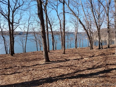 **Exquisite Lakefront Lot at Lake of the Ozarks - A - photo 48