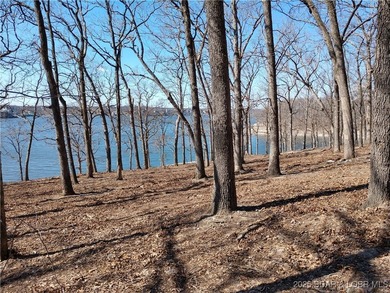**Exquisite Lakefront Lot at Lake of the Ozarks - A - photo 49