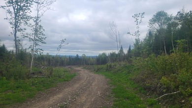 A hard to find nearly 200 acre woodlot with 2,500 plus feet of - photo 3