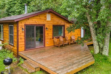 Turn Key Wisconsin River/Lake Petenwell waterfront cabin in a - photo 33