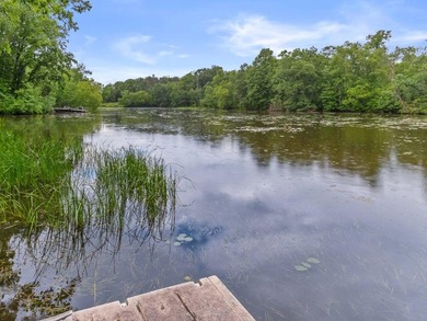 Turn Key Wisconsin River/Lake Petenwell waterfront cabin in a - photo 38