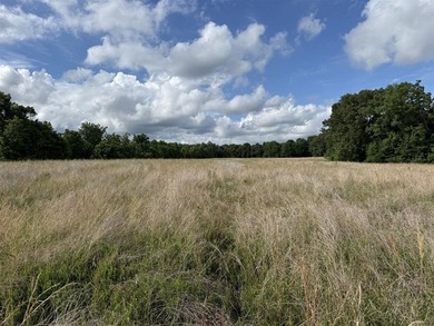 20+/- acres of private Nolin Lakefront property on Roseburg Road - photo 1