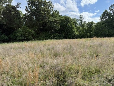 20+/- acres of private Nolin Lakefront property on Roseburg Road - photo 3