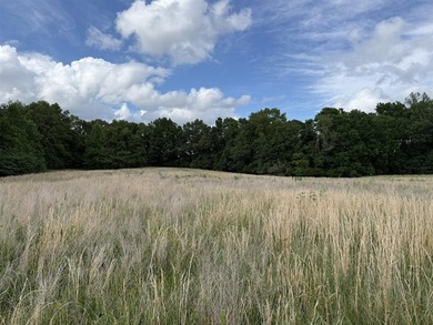 20+/- acres of private Nolin Lakefront property on Roseburg Road - photo 4