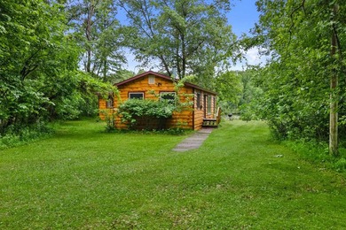Turn Key Wisconsin River/Lake Petenwell waterfront cabin in a - photo 45