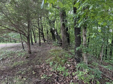 20+/- acres of private Nolin Lakefront property on Roseburg Road - photo 6