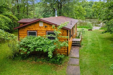 Turn Key Wisconsin River/Lake Petenwell waterfront cabin in a - photo 46
