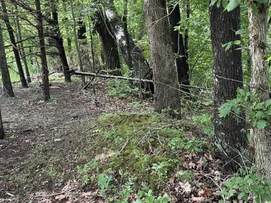 20+/- acres of private Nolin Lakefront property on Roseburg Road - photo 7