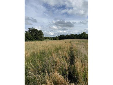 20+/- acres of private Nolin Lakefront property on Roseburg Road - photo 8