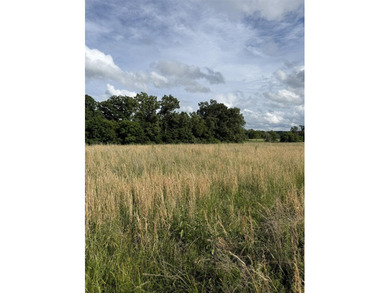 20+/- acres of private Nolin Lakefront property on Roseburg Road - photo 9